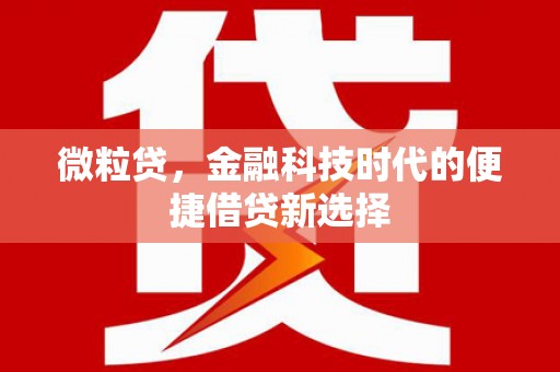 稻城微粒贷，金融科技时代的便捷借贷新选择