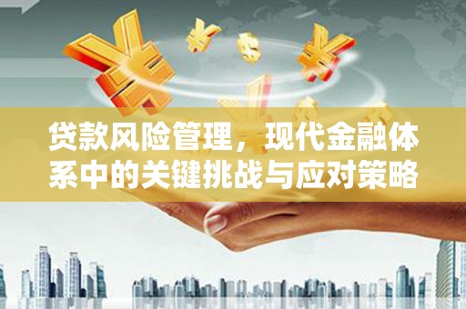 维西贷款风险管理，现代金融体系中的关键挑战与应对策略