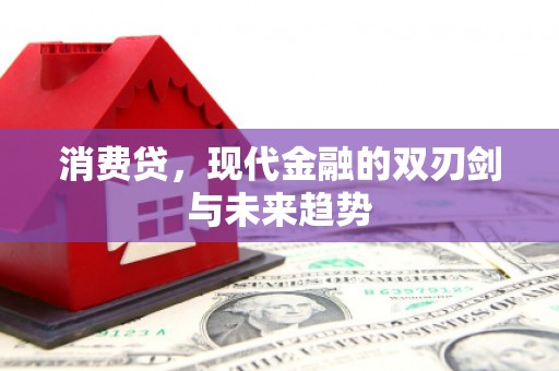 长白消费贷，现代金融的双刃剑与未来趋势