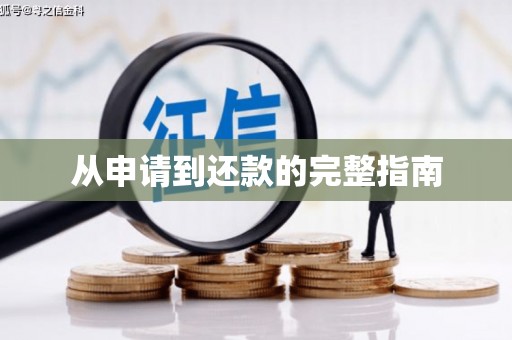 南市从申请到还款的完整指南