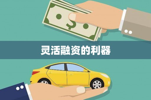 万峦灵活融资的利器