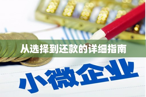 大社从选择到还款的详细指南
