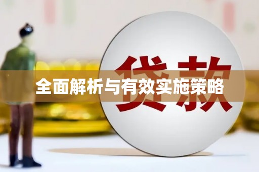洋县全面解析与有效实施策略