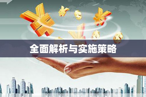 小金全面解析与实施策略