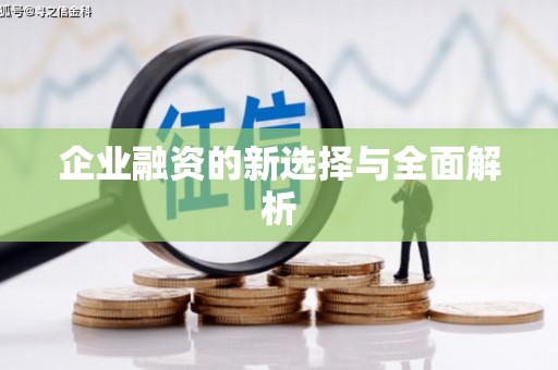 新邱企业融资的新选择与全面解析