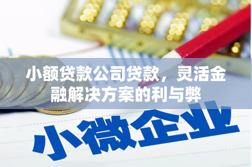 汤阴小额贷款公司贷款，灵活金融解决方案的利与弊