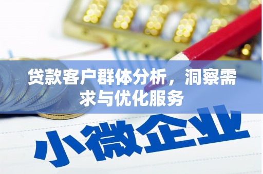 隆子贷款客户群体分析，洞察需求与优化服务